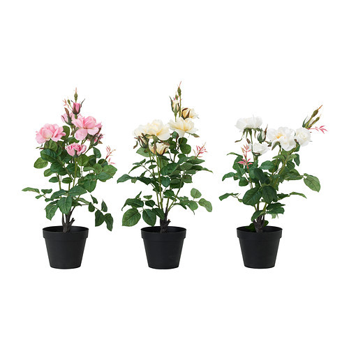 FEJKA Artificial potted plant, Rose assorted species plants - 302.341.73