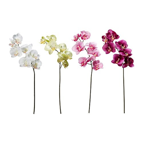 SMYCKA Artificial flower, Orchid assorted colors - 701.536.50