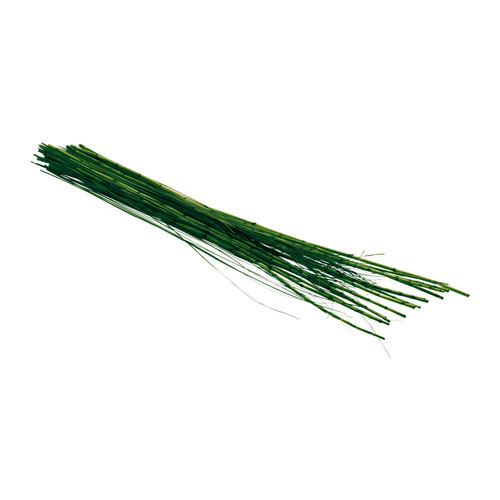 SMYCKA Dried bouquet, green - 500.999.99