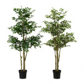 FEJKA Artificial potted plant, Weeping fig assorted species plants - 302.340.07