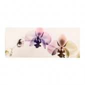 PJÄTTERYD Picture, orchid spectrum - 502.958.77