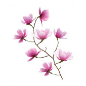SLÄTTHULT Decorative stickers, magnolia - 401.861.24