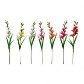 SMYCKA Artificial flower, Gladiolus, assorted colors - 101.536.48