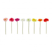 SMYCKA Artificial flower, Gerbera assorted colors - 602.342.04